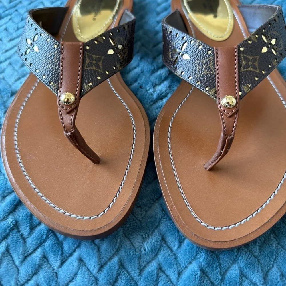 Louis Vuitton Brown and Gold Thong Sandals W/ COA/ FULL INCLUSION BNIB - Picture 2 of 8